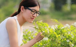 果冻传媒官方网站入口